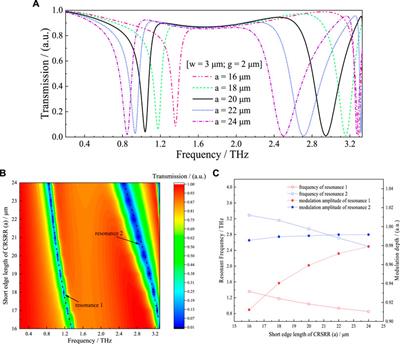 Design and analysis of a dual-band THz metamaterial sensor with high refractive index sensitivity